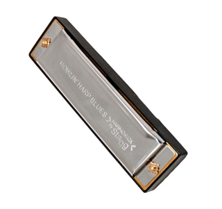 Stagg harmonika D dur
